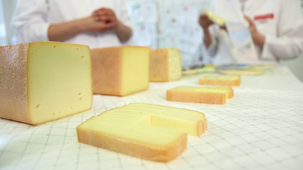 Molkerei Imagefilm Dreh