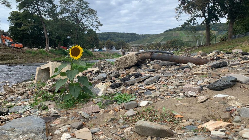 Hochwasserschutt an der Ahr TV-Beitrag